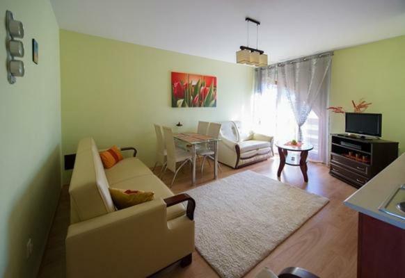 Panorama Koscielisko Apartment Закопане Екстериор снимка