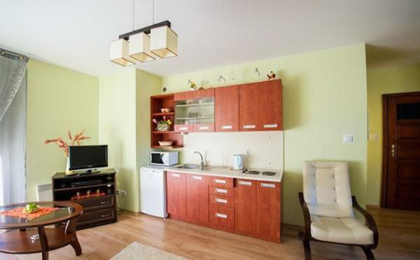 Panorama Koscielisko Apartment Закопане Екстериор снимка