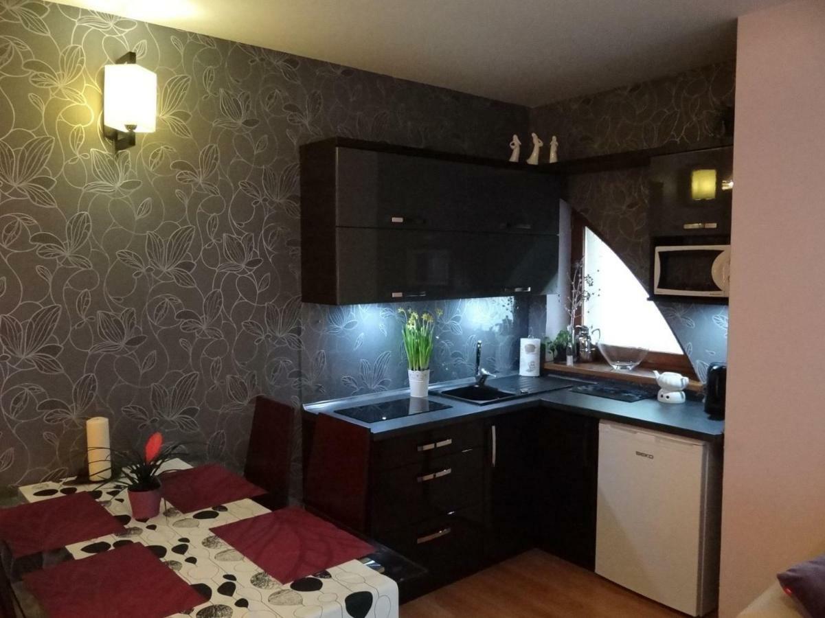 Panorama Koscielisko Apartment Закопане Екстериор снимка